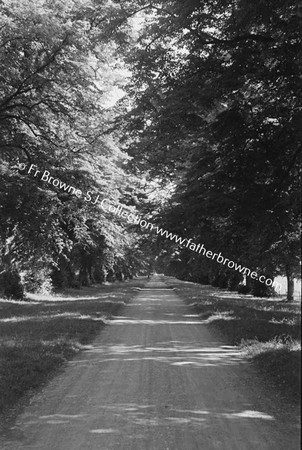 CASTLETOWN HOUSE  THE AVENUE